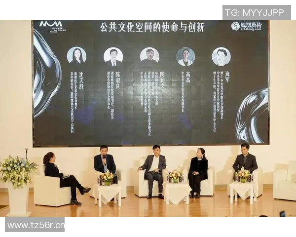 飞盘运动的崛起与赵娜的成功秘诀深度探讨