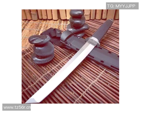 BLG在挑战者杯中的技术表现分析与战术解读