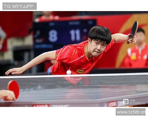 与乒乓球传奇杨静的深度对话回顾她辉煌的运动生涯与心路历程